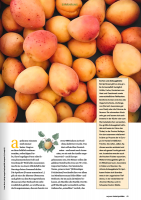 Vorschau: NaturApotheke 04/2021 Vorschau: NaturApotheke 04/2021