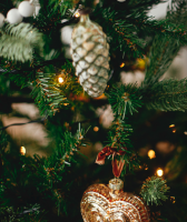 Vorschau: ZauberTopf mixt! - Magische Weihnachtszeit mit dem Thermomix® Vorschau: ZauberTopf mixt! - Magische Weihnachtszeit mit dem Thermomix®