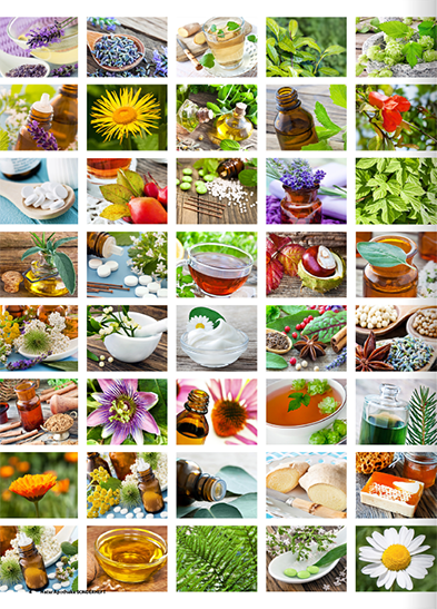 NaturApotheke 02/2024