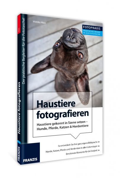 Haustiere fotografieren Haustiere fotografieren