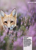Vorschau: NikonBIBEL 01/2018 Vorschau: NikonBIBEL 01/2018