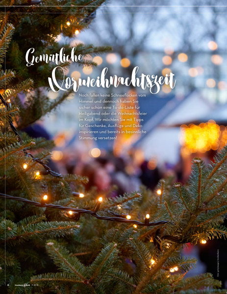 RENDSBURGerleben - November 2018