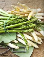 Vorschau: ZauberTopf 03/2017 Vorschau: ZauberTopf 03/2017