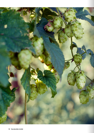 NaturApotheke 04/2022