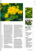 Vorschau: NaturApotheke 04/2021 Vorschau: NaturApotheke 04/2021