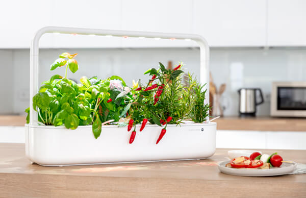 Smart Garden 9