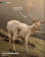 Vorschau: FotoEASY 01/2017 Vorschau: FotoEASY 01/2017