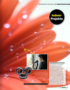NikonBIBEL 01/2015