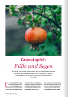 Vorschau: NaturApotheke 01/2024 Vorschau: NaturApotheke 01/2024