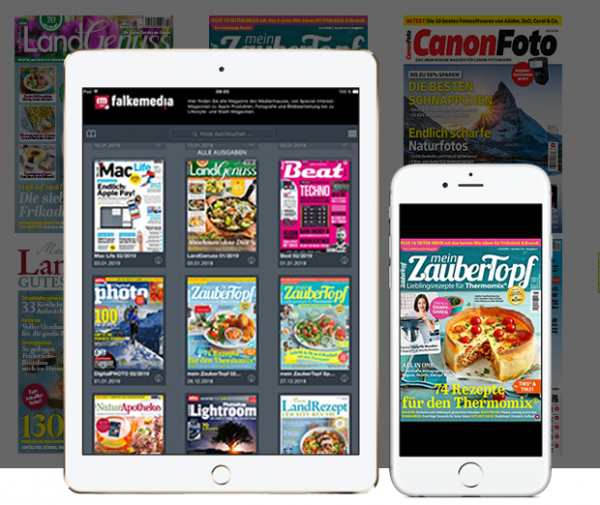 Die falkemedia FULLFLAT