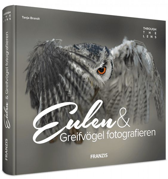 Eulen & Greifvögel fotografieren