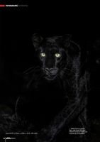 Vorschau: DigitalPHOTO 06/2023 Vorschau: DigitalPHOTO 06/2023