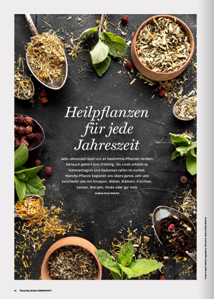 NaturApotheke 02/2024