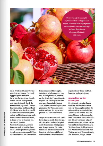 NaturApotheke 01/2024