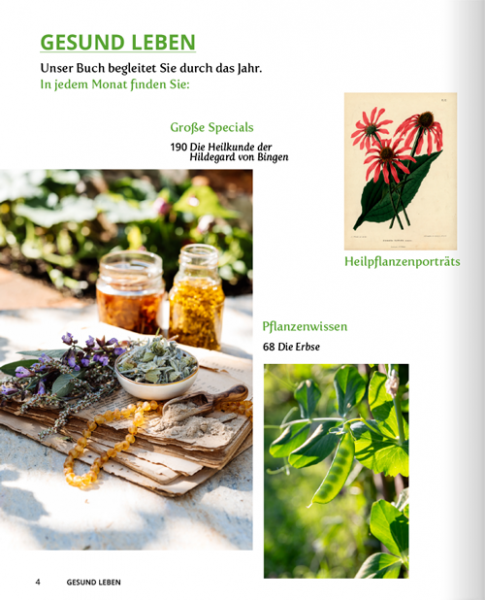 NaturApotheke – Gesund mit der Kraft der Natur