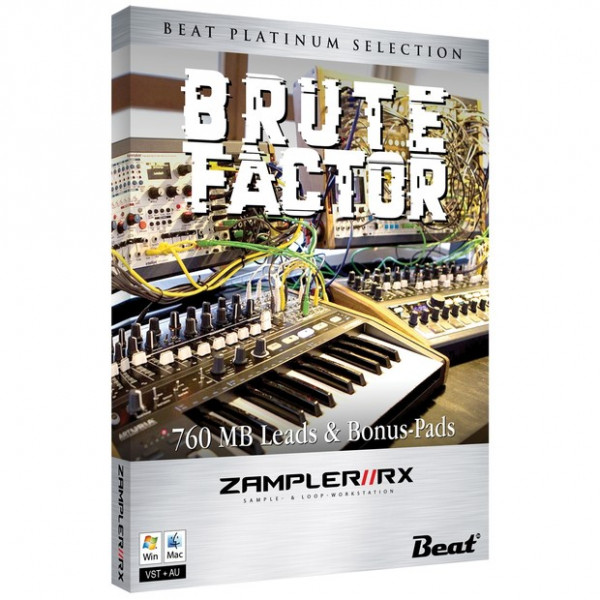 Brute Factor Brute Factor