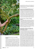 Vorschau: BÜCHER 06/2024 Vorschau: BÜCHER 06/2024